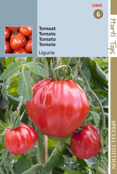 Tomate Liguria (Solanum) 25 Samen HT